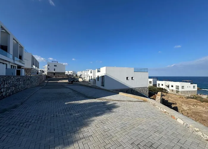 Kantara Olivia * Aglantzia